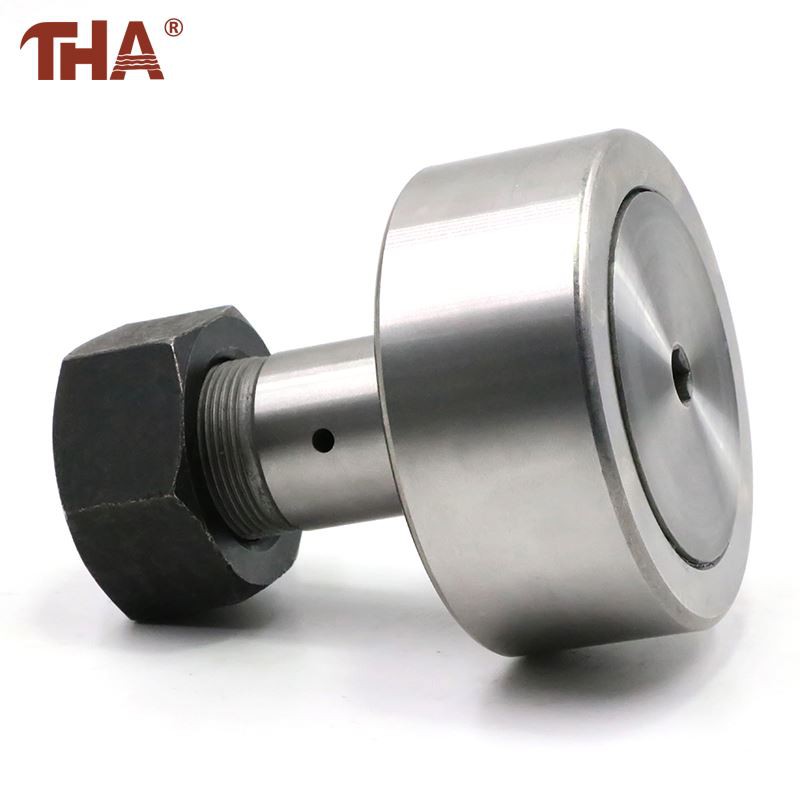 Kaamera järgija Roomikrull-laager